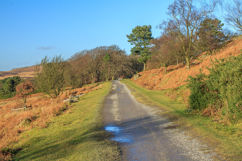 Longshaw Longshaw